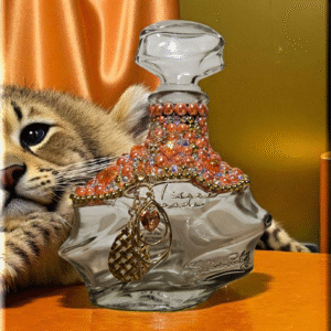 Alternative view of Tierra Sagrada Tequila Bottle