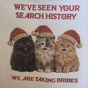 Christmas Kittens with Hats that Sparkle!! - Image 4